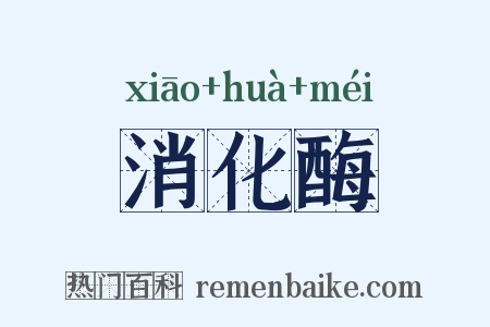 消化酶是什么意思的图片